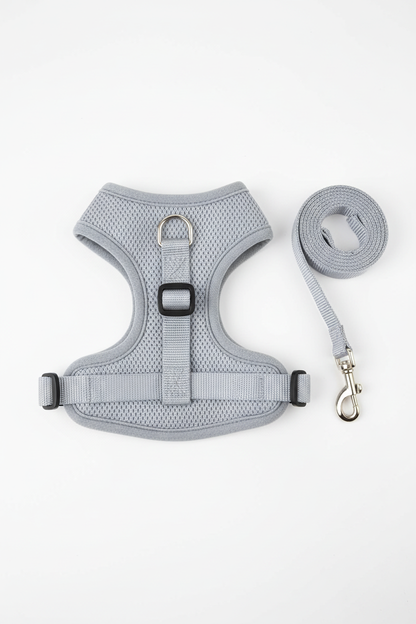 Cat harness leash set flat lay