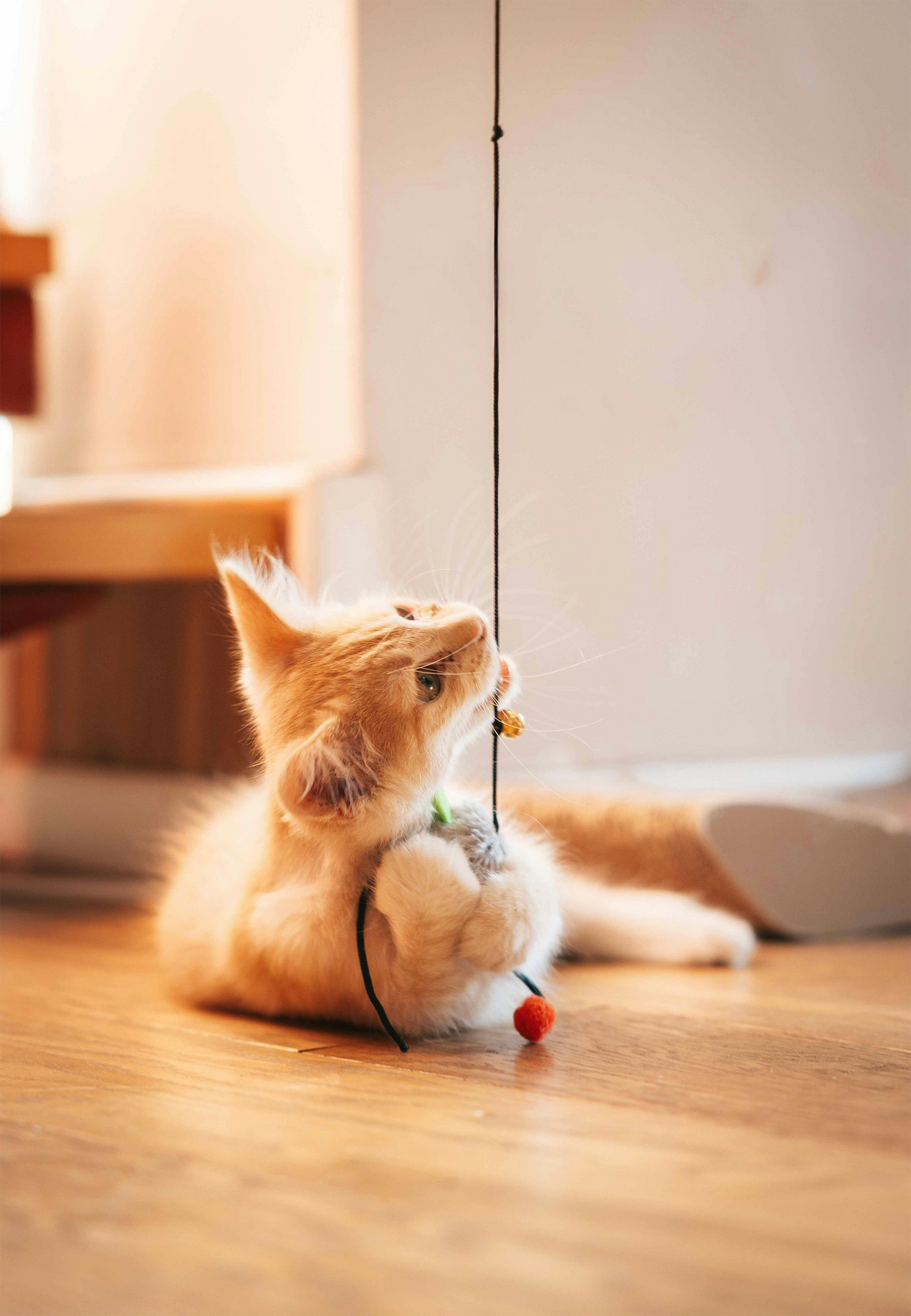 Handcrafted Wool & Bead Cat Teaser Toy – String Play Toy for Cats