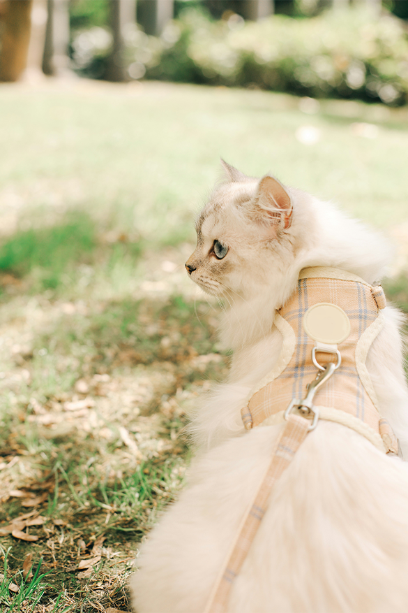 Adjustable Plaid Cat Harness & Leash Set – Escape-Proof Outdoor Walking Vest
