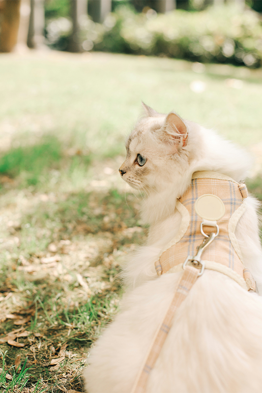 Adjustable Plaid Cat Harness & Leash Set – Escape-Proof Outdoor Walking Vest