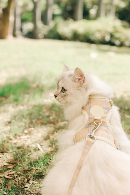 White cat in plaid harness on grass